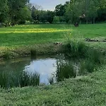 Les Saules De