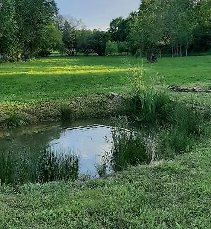 Les Saules De