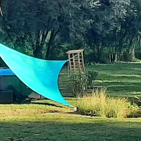 Les Saules De * Queyssac